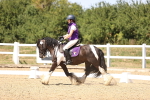 SBM_012312