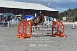 BPP_5546