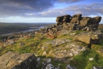 Leather Tor & Burrator