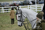 PtP 220122 32