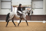 SBM_001919