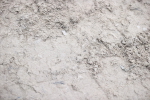 SBM_001020