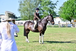 SBM_19520