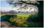 Along Yeldersley Lane