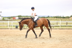 SBM_003209
