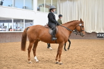 SBM_001539