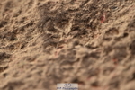 231015A-161000-09247
