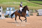 BPP_3202