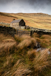 In the shelter of the Valley