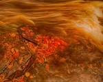 20121028-_MG_0683_HDR