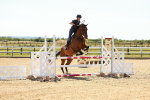 SBM_006548