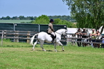 SBM_17400