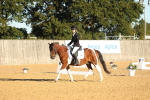 SBM_14157