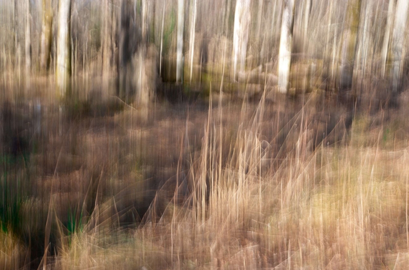 Intentional Camera Movement