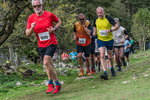 Dovedale-1013