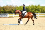 SBM_000271