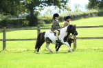 S20 - Lead Rein Mountain & Moorland Pony portfolio