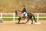 SBM_004635