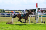 260826-Race 2-Lady Gormire-2383