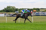 260826-Race 5-Novamay-3525
