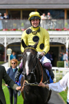 260725-Race 3-Royal Champion-0537