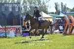 BPP_7714