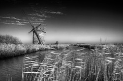 Blowing in the Wind