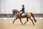 SBM_004461