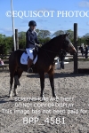 CLASS 11  SAT Club/ Unaffiliated 70cms Open portfolio