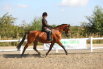 SBM_02201