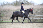 SBM_004813