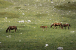 9350 Pollino Massif