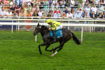 Race 4 3.15pm Edge Windows Nursery Handicap at York portfolio