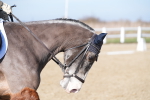 SBM_002194