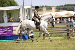 SBM_15038