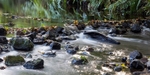 Beside the Brook Panorama