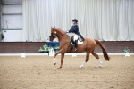 SBM_008716