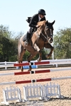 National 1.30m & 1.40m Open portfolio