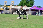 SBM_09374
