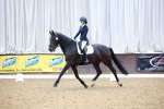 Class 4 - Novice 4 portfolio