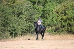 WJ6_7321