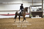BPP_3030