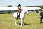 SBM_07084