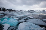 Icy landscape