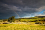 Ingleton Bow