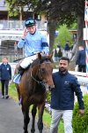 150525-Merchant-5401