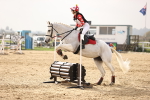 SBM_003060