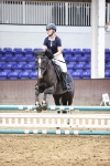 SBM_003335