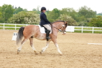SBM_006414