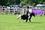 SBM_03668